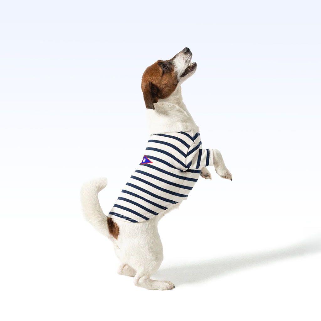AMYC_PARISIAN PUP SHIRT